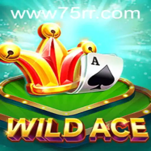 Descobrindo WildAce: O Novo Fenômeno do 75RR.com